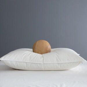 NWOT QUINCE Premium Down Alternative Pillow Soft/Medium Standard 4855